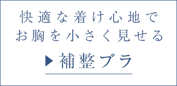 グラマー向け補整ブラ