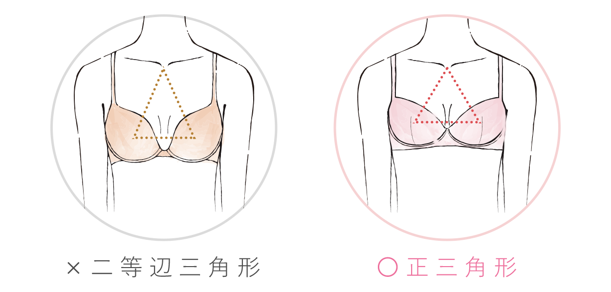 図説：正しいバスト位置