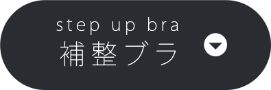 セールステップ補整ブラ