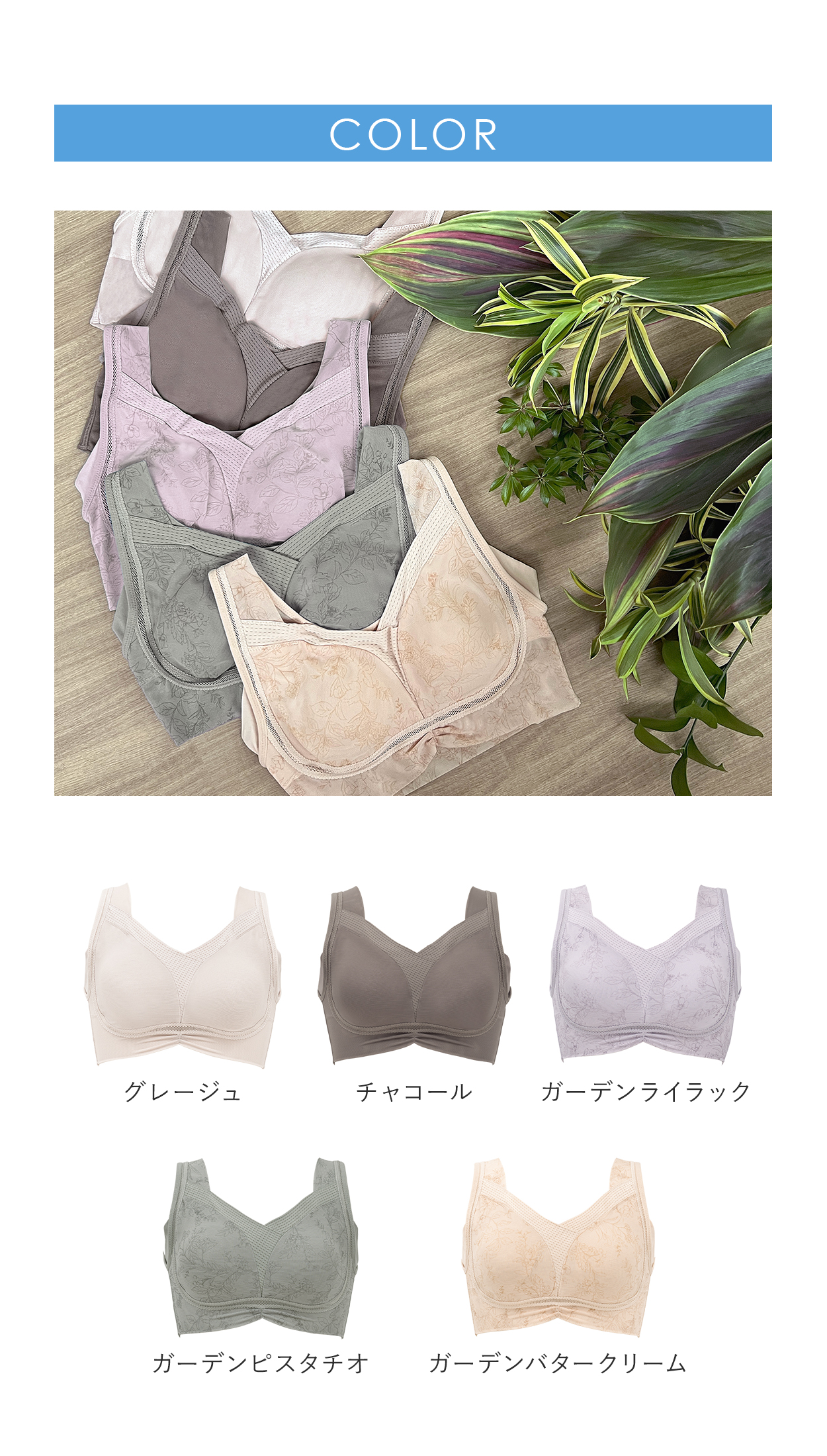カラー展開