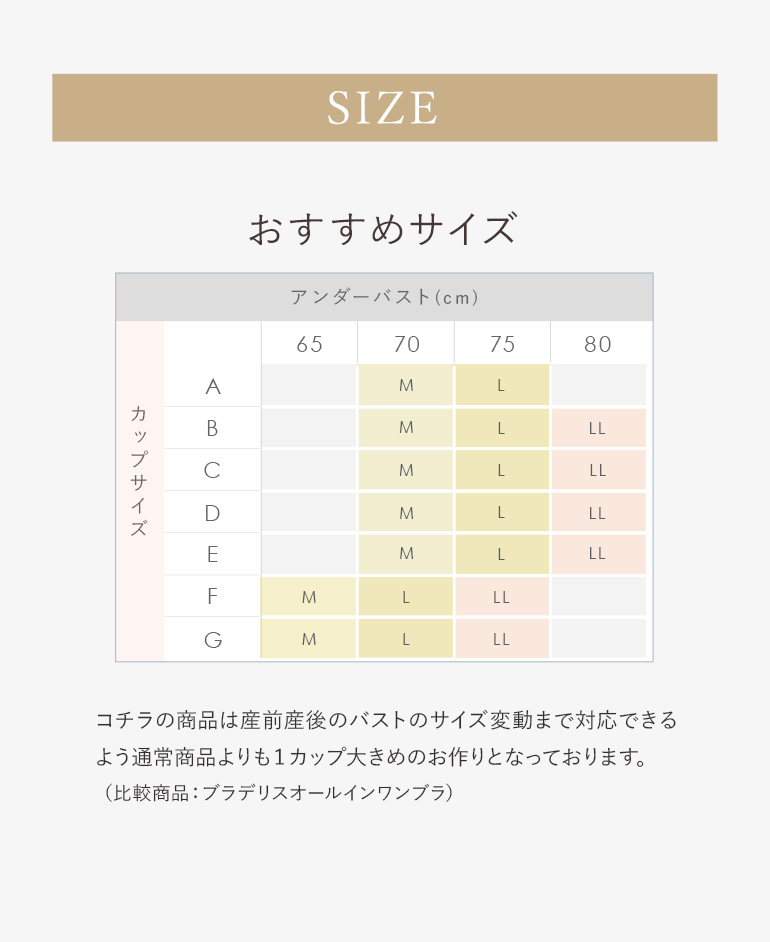 サイズ展開