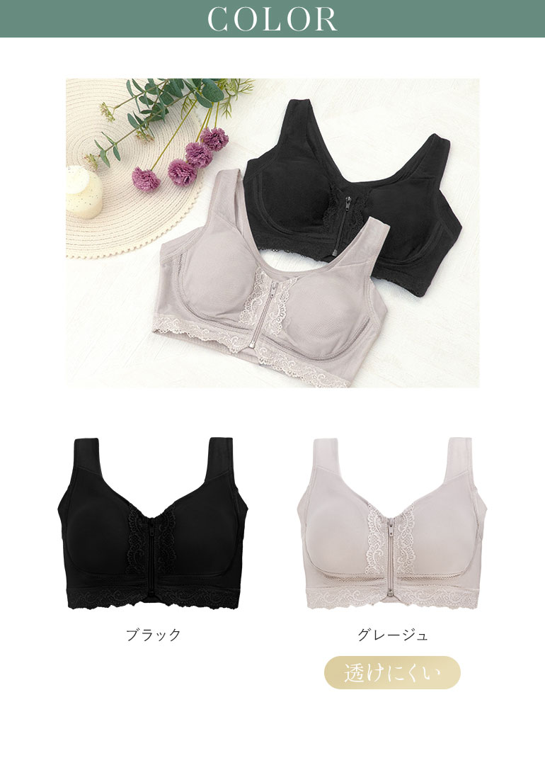 カラー展開