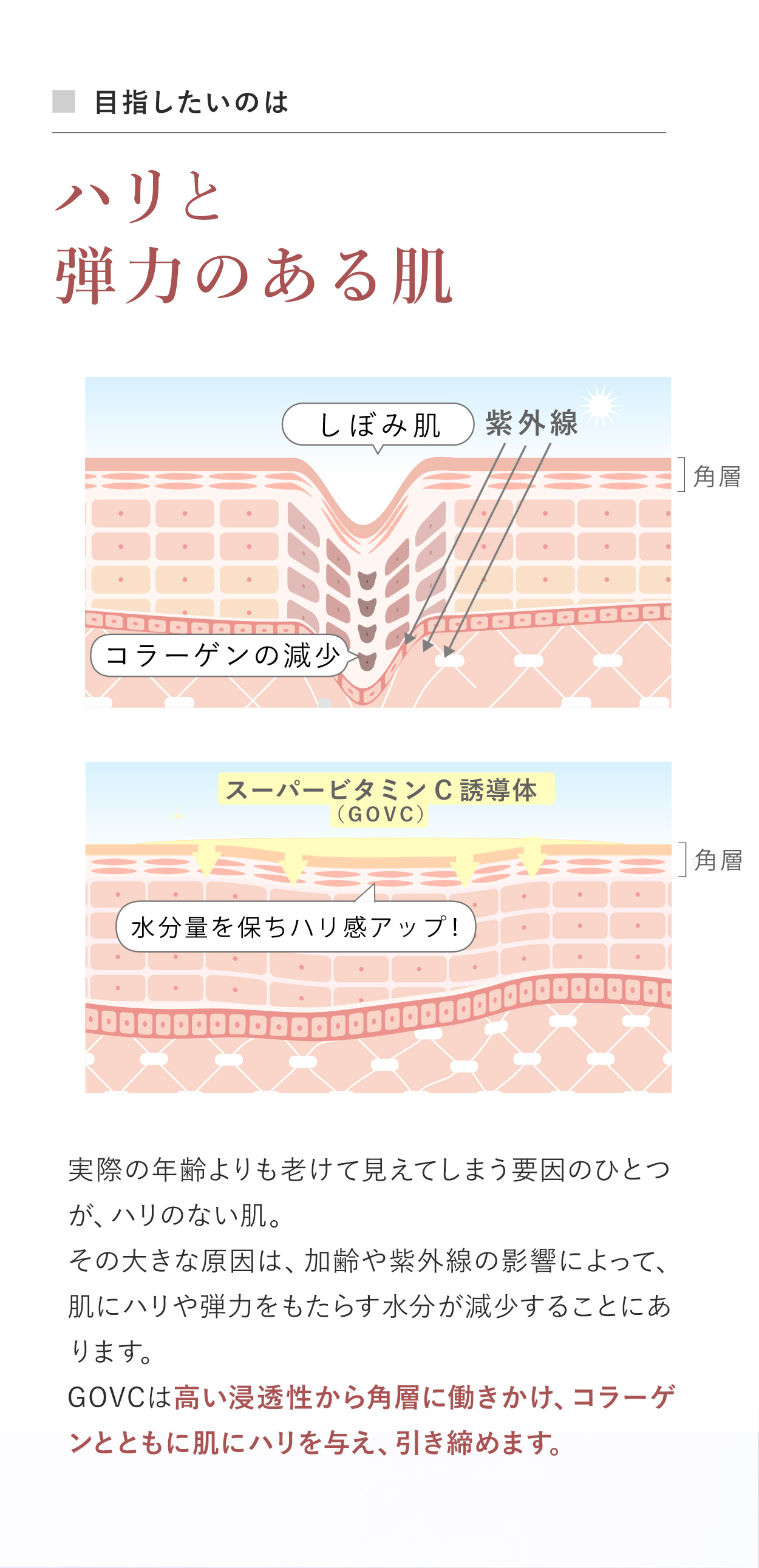 目指したいのはハリと弾力のある肌