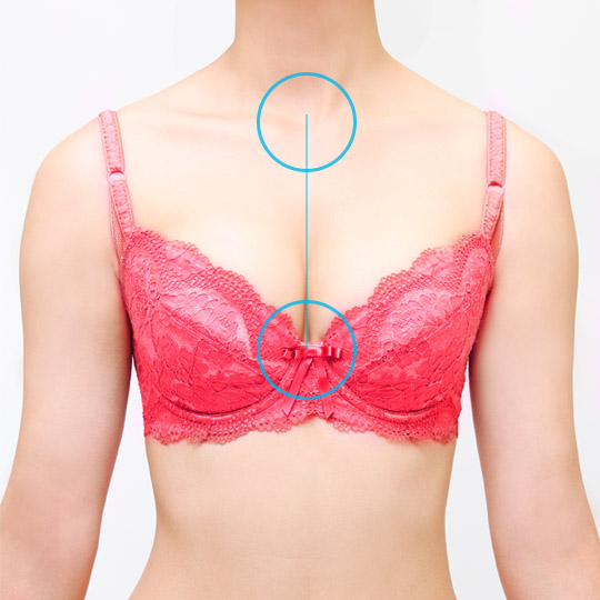 ブラジャーの正しい着用診断 ブラデリスニューヨーク 公式通販 育乳補整ブラジャー 下着 ブラジャーの正しい着用診断 ブラデリスニューヨーク 公式通販 育乳補整ブラジャー 下着