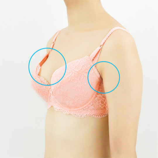 ブラジャーの正しい着用診断 ブラデリスニューヨーク 公式通販 育乳補整ブラジャー 下着