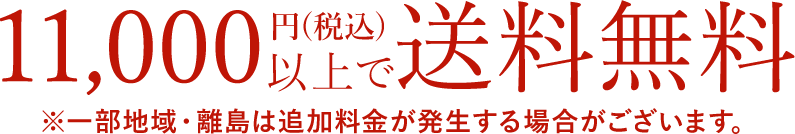 11,000円(税込)以上で送料無料