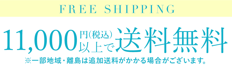 11,000円(税込)以上で送料無料