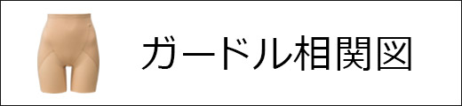 ガードル相関図へ