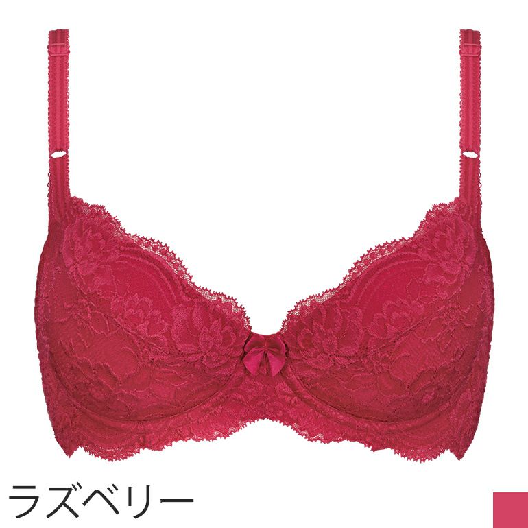 Casr ブラデリス プリマブラ10 ステップ1 限定1色 公式通販 育乳 補整はブラデリスニューヨーク