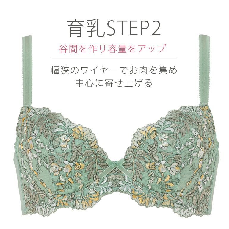 オンラインストア限定 ブラデリス リサブラ ステップ2 公式通販 育乳 補整はブラデリスニューヨーク オンラインストア限定 ブラデリス リサブラ ステップ2 公式通販 育乳 補整はブラデリスニューヨーク