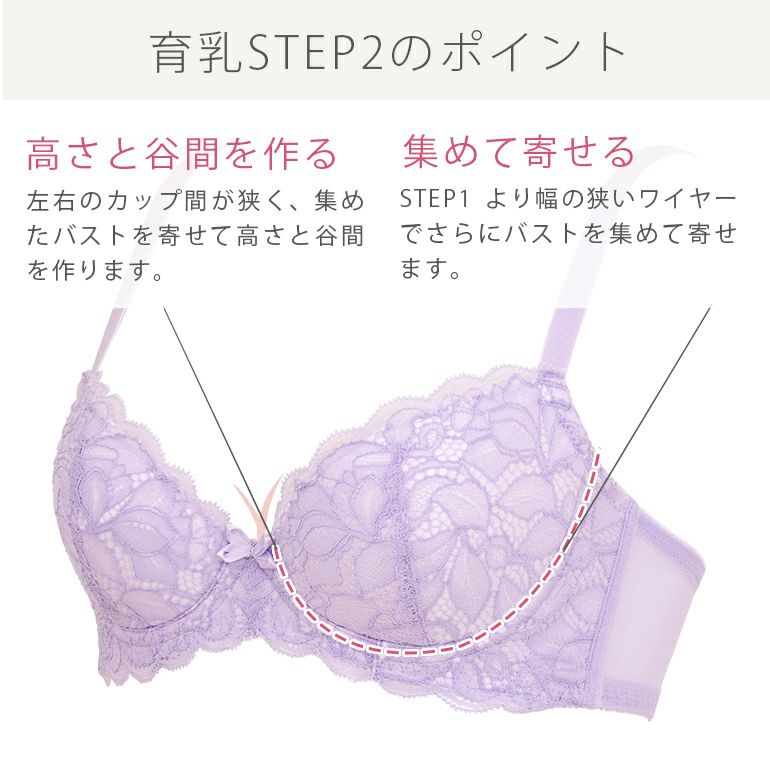 オンラインストア限定】ブラデリス ローズステップ2ブラ22S2  