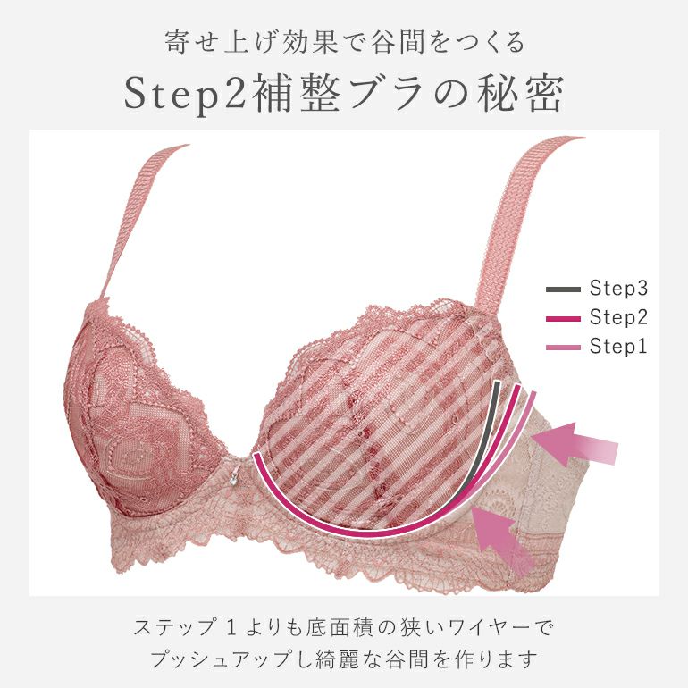 ブラデリス ベルステップ2ブラ25A1 | ブラデリスニューヨーク